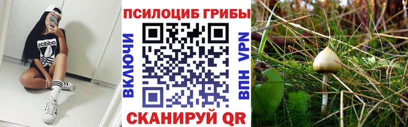 Галлюциногенные грибы мицелий  Козьмодемьянск 